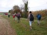 dsc07511.jpg - 